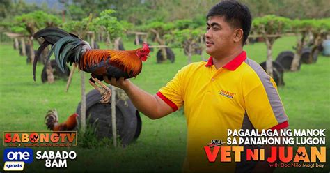 lugon na manok meaning|Molting or Pag Lugon ng Manok .